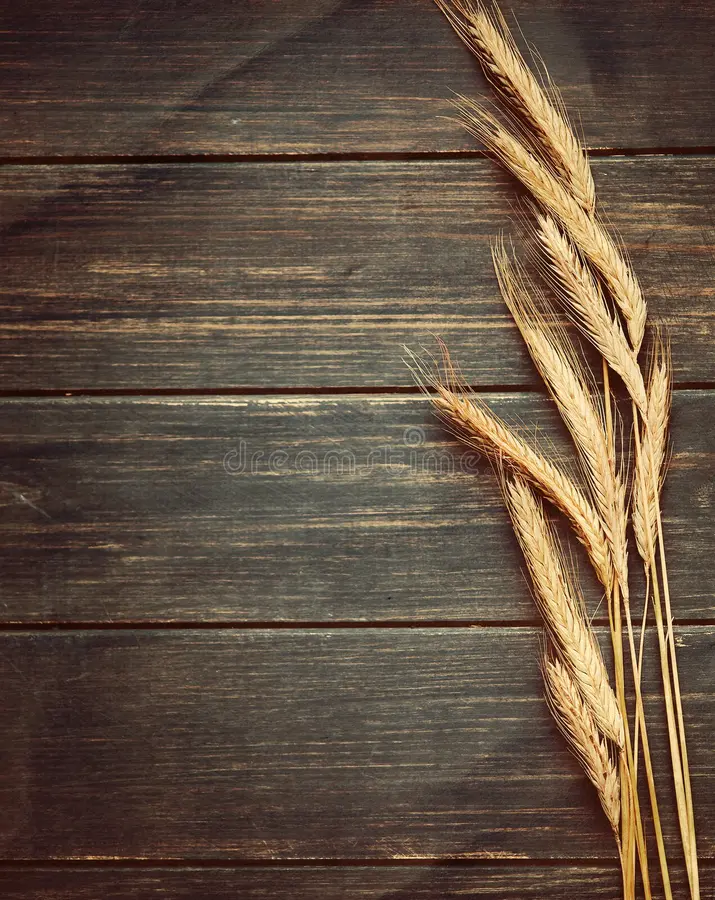 vintage-wheat-background-textured-rustic-old-frame-33133880.jpg.webp