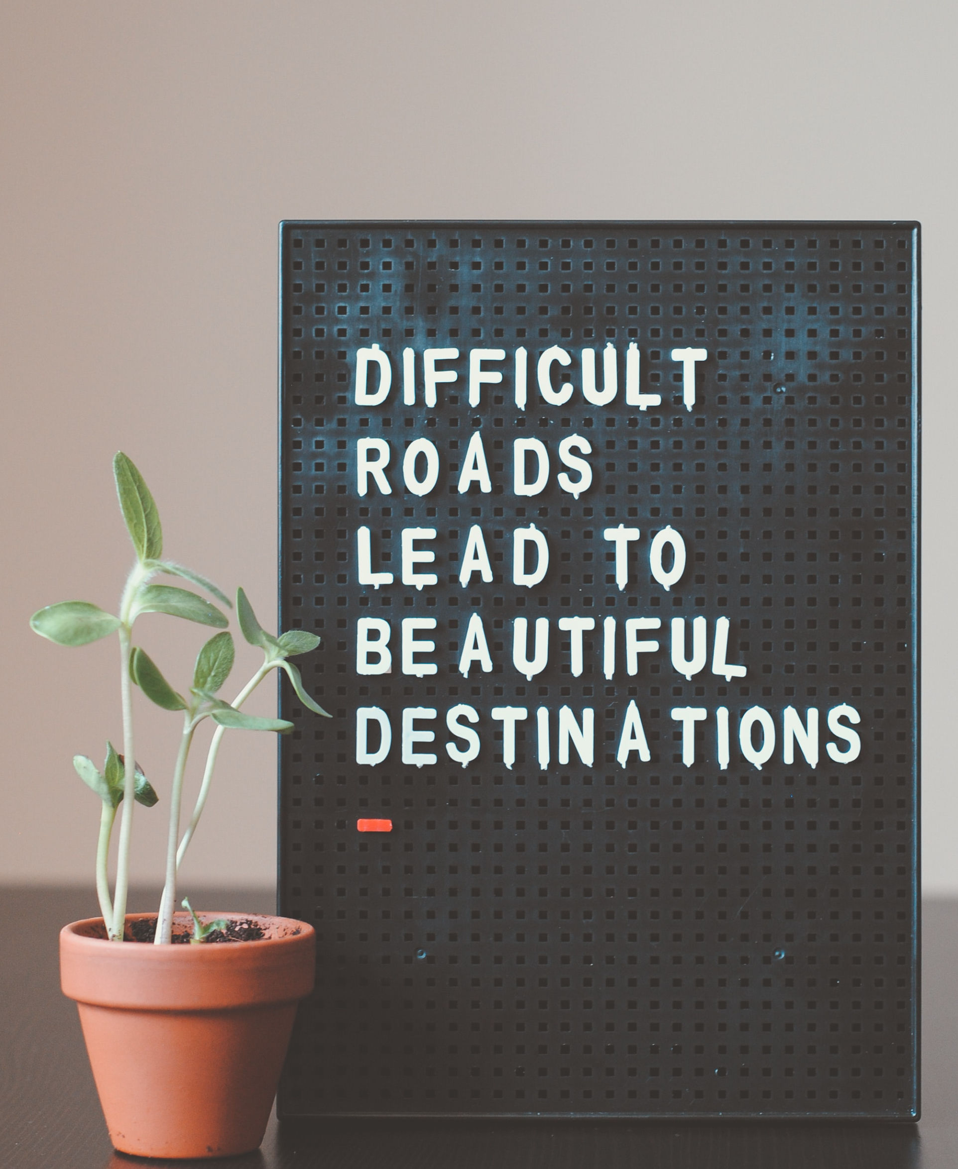 A letterboard that states "Difficult Roads Lead to Beautiful Destinations" beside a potted plant.