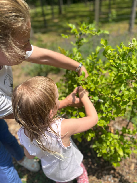 Learning about all the different things on the farm.