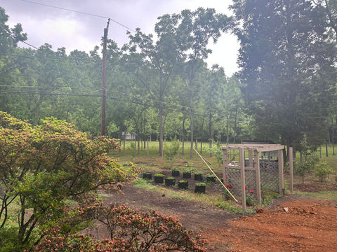 At the farm