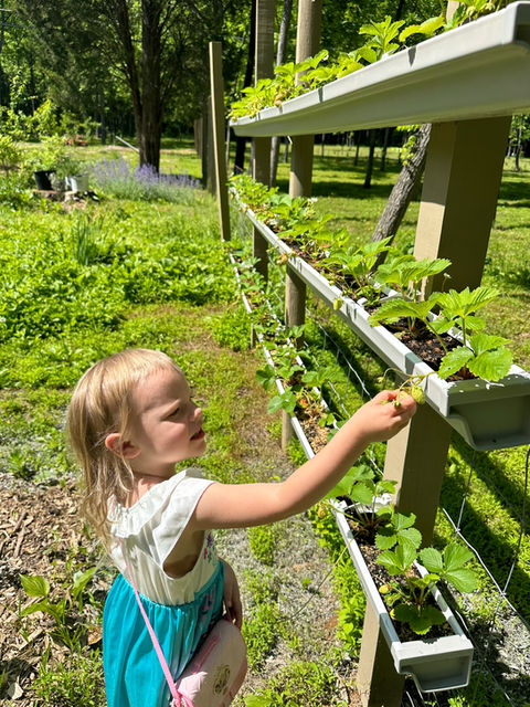 Dany's Robin Hood Farm