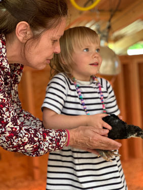 Holding a baby chicken