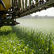 The U.S. Supreme Court and Glyphosate: Understanding Durnell v. Monsanto