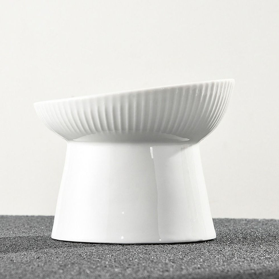 Thumbnail: Ceramic Cat Bowl Slanted/Flat