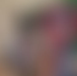 border collie modelling online pet show rosettes