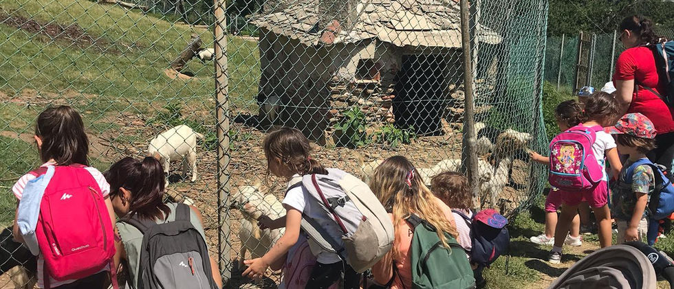 Artebi Summer 2020 26.jpg