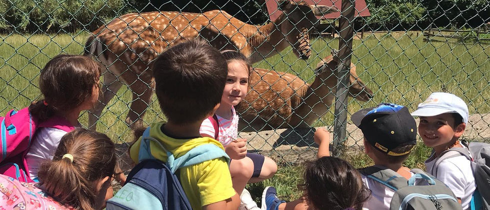 Artebi Summer 2020 27.jpg