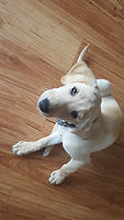 20160830_132720.jpg