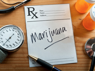 How Cannabis Oil Works to Kill Cancer Cells