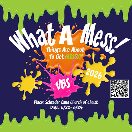 VBS2026_WhatAMess_Instragram.png