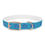 Thumbnail: Starring Dog Collar - Turquoise