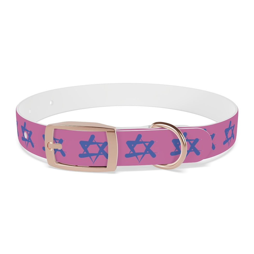 Starring Dog Collar - Blush