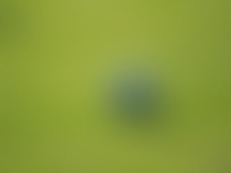 Rozlosování zimního poháru