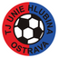 Obrázek autora: TJ Unie Hlubina