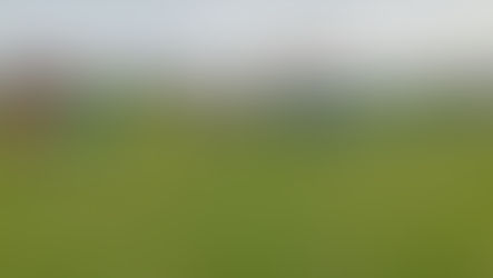 Juniorky se zúčastnily soustředění