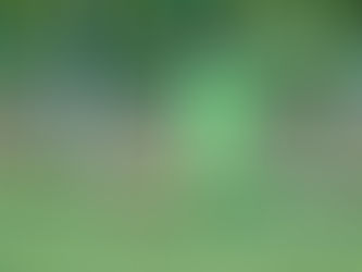 Petr Chudý: Hlubina je můj domov