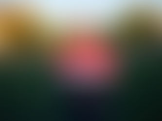 Zdeněk Havránek: Důležité je věřit v hráče