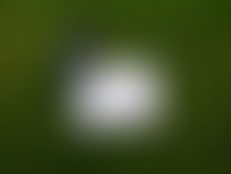 OCenění pro naše Hlubiňáky