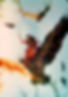 LADY-BIRD-3.jpg