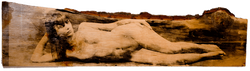 Camino-madera-panoramica