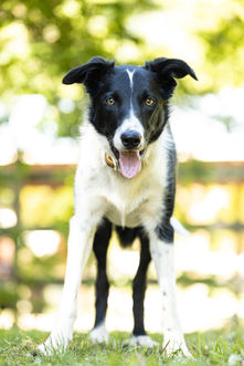 Family Pictures-22.jpg