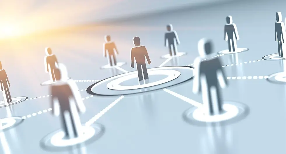 a conceptual representation of a social or professional network.
