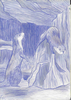 Alice Herring- Otters