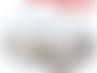 EFC Cleaning|Home Cleaning Service Sydney|BED BUGS