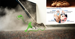 efc carpet cleaning logo