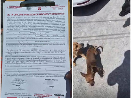 *Atendió Control y Bienestar Animal atendió reportes en Las Cumbres y Ernesto Zedillo*