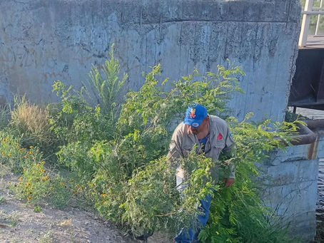 *Realiza Gobierno de Reynosa trabajo de mantenimiento en el canal Anzaldúas*