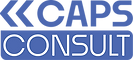 Caps Consult Czech Republic IT Consulting and development industry