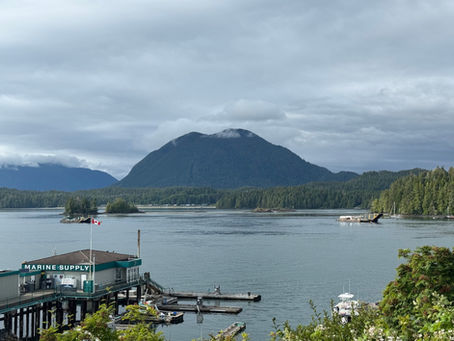 Vue de la Marina de Tofino et de Clayoquot Sound