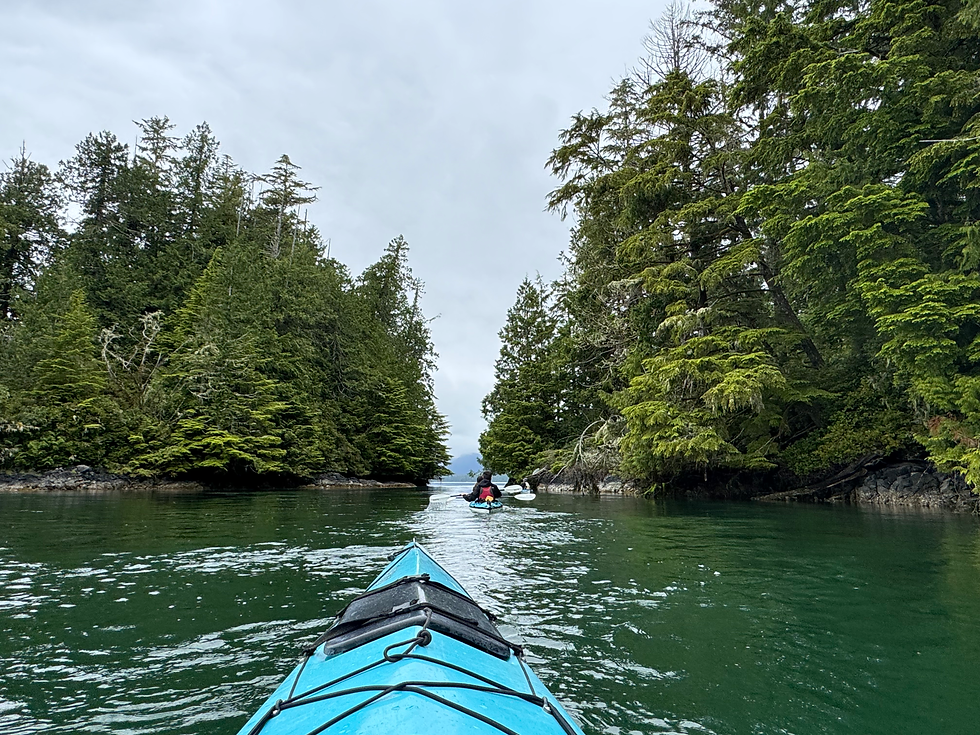 Kayak de mer à Clayoquot Sound