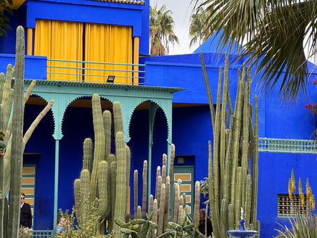 Découvrez le Jardin Majorelle à Marrakech : son histoire, le rôle d’Yves Saint Laurent et Pierre Bergé, la Villa Oasis, le musée berbère et tous nos conseils pour réserver et réussir votre visite.