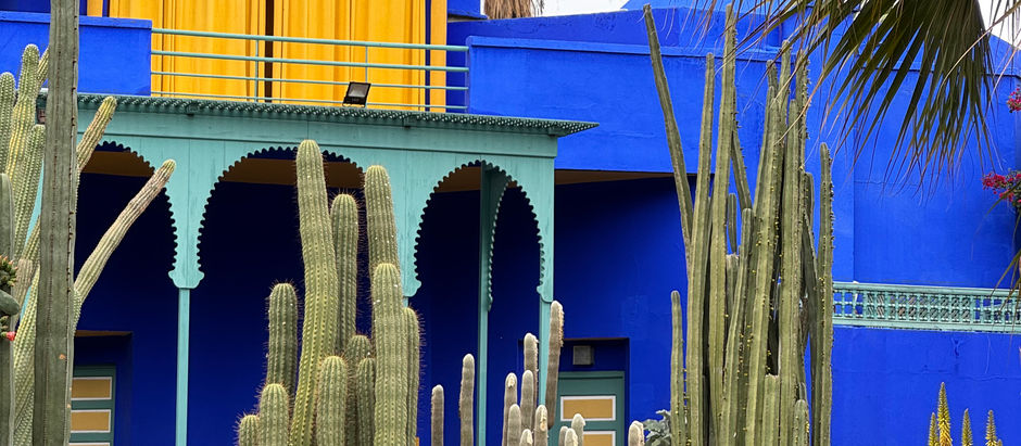Découvrez le Jardin Majorelle à Marrakech : son histoire, le rôle d’Yves Saint Laurent et Pierre Bergé, la Villa Oasis, le musée berbère et tous nos conseils pour réserver et réussir votre visite.