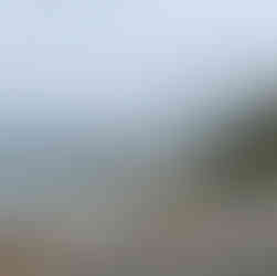 Rochers de Long Beach et office du tourisme