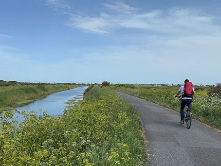 Vélo dans les marais de l'île d'oléron
