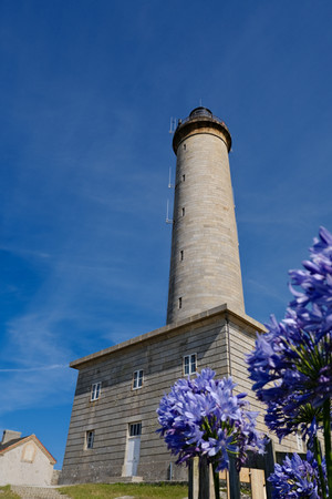 Phare de l'île de Batz et fleur