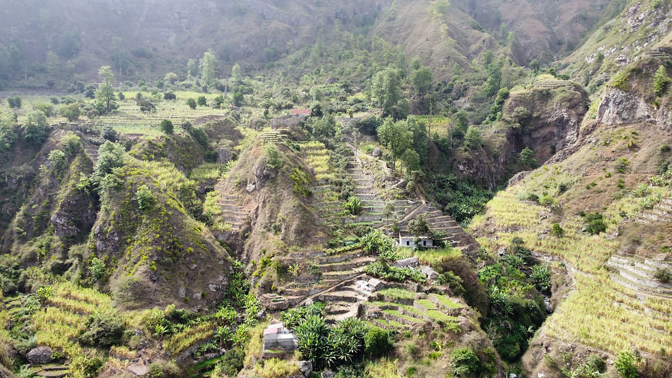 Cultures en terrasses dans la vallée de Paul sur des collines escarpées, avec petites maisons et végétation luxuriante sous une lumière brumeuse.