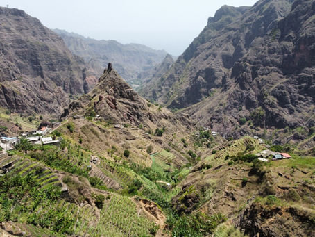 Ribeira Grande et ses terrasses agricoles