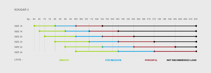 kougar 3 ağırlık seviye.png
