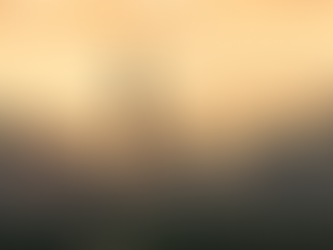 Taking the Next Essential Step: Getting Institutions Involved