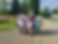 Overnight Camp With Alyssa at Show.jpg
