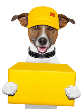 comida-para-perros-a-domicilio-removebg-preview.png