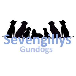 sevengillys