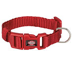 Premium dog collar in red