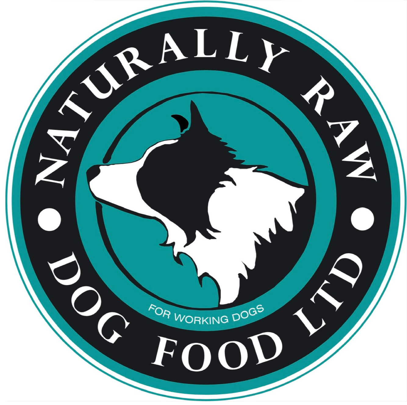 Raw factory dog food 2025