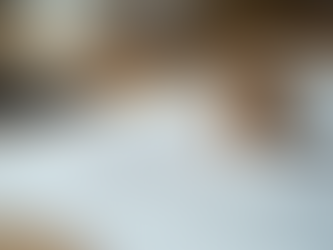 Efficient Strategies to Build Tiny Homes