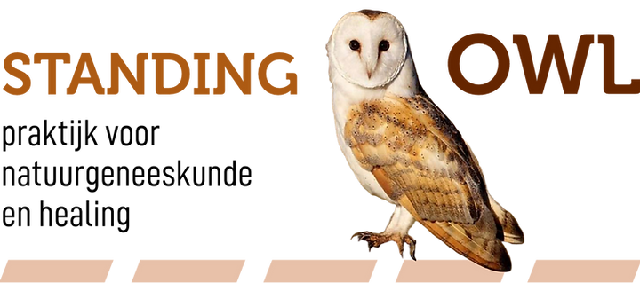 Standing owl.png